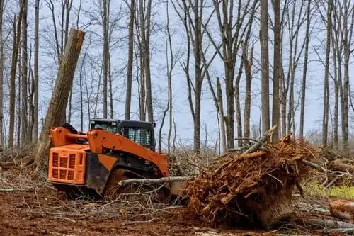 Land clearing crew removing overgrown brush and trees from a lot in Central Indiana