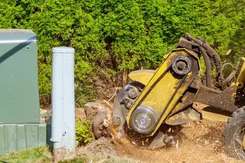 Stump grinder removing a tree stump below grade in a Central Indiana yard